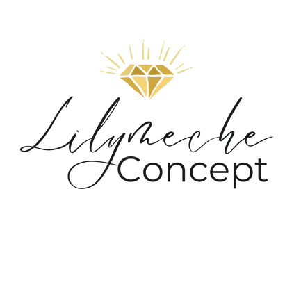 Lilymeche Concept : USA Based E-Commerce Store